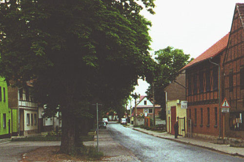 Kastanienstraße in Schwerborn